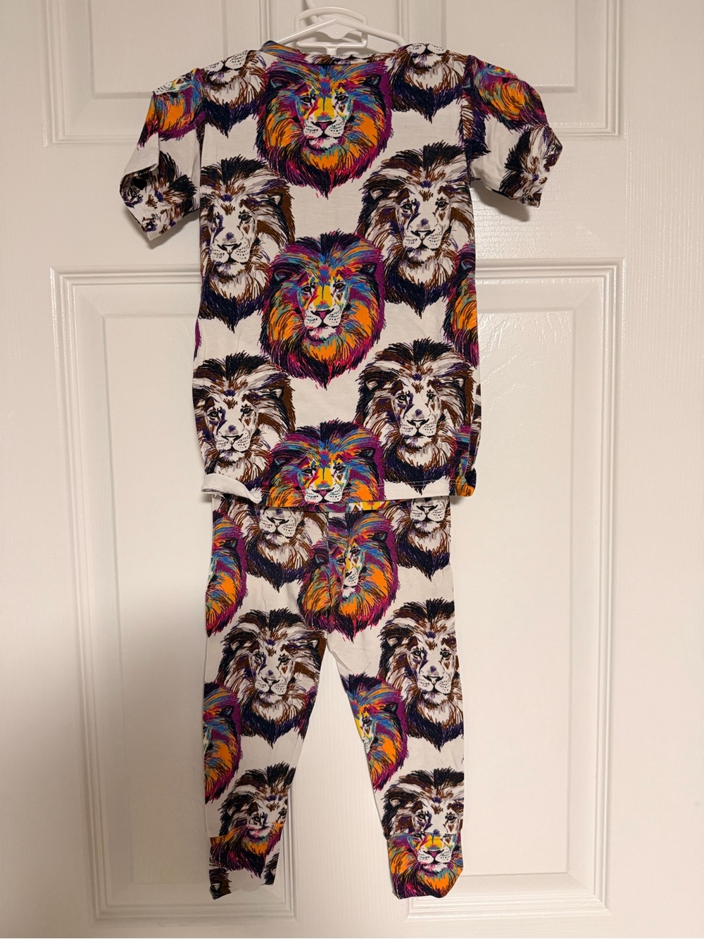 Rainbow Lion Print Bamboo Pajama Set